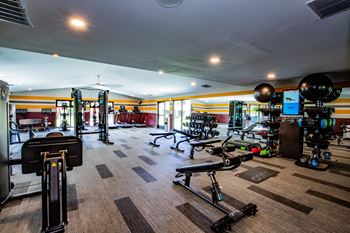 Brand new fully-equipped fitness center